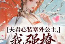 跪求主角是叶锦意萧凛渊的小说书名叫什么-黄桃文学