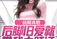 前脚离婚，后脚旧爱就带我去领证在线看，陆沉苏婉清小说大结局在哪免费看-黄桃文学