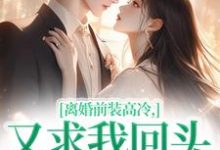 主人公是苏念封承烬的小说离婚前装高冷，又求我回头做什么免费阅读-黄桃文学