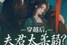 穿越后,夫君太柔弱?我来夺江山精彩章节阅读(沈微萧御衡)免费阅读大结局-黄桃文学