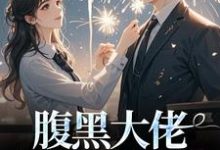 腹黑大佬诱拐小绵羊,婚后甜到齁免费阅读,时有微沈皙白大结局无弹窗-黄桃文学