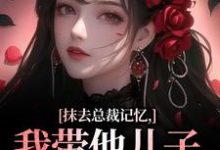 抹去总裁记忆，我带他儿子回苗寨精彩章节阅读(裴景澈梨尤笙)免费阅读大结局-黄桃文学