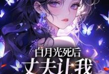 主角是姜闪裴熠星的小说白月光死后,丈夫让我去给她赔罪在哪免费看-黄桃文学