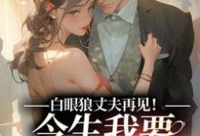 跪求主角是白雅兰傅云峥的小说书名叫什么-黄桃文学