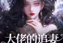 姜沁笙纪怀舟小说的结局在哪可以看,大佬的追妻火葬场:晚了,姐不稀罕免费阅读完结版-黄桃文学
