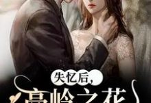 失忆后,高岭之花他又撩又哄(黎漾裴政臣)最新章节免费在线阅读-黄桃文学