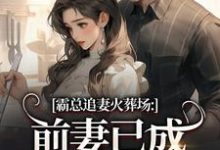 (全文)霸总追妻火葬场:前妻已成人间富贵花秦桑傅霆深全本免费在线阅读-黄桃文学