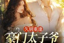 久别重逢，豪门太子爷他苦苦求宠完整版小说，久别重逢，豪门太子爷他苦苦求宠阮清月贺西楼试读更新章节-黄桃文学