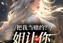 把我当赌约？姐让你跪地求饶热门小说排行榜把我当赌约？姐让你跪地求饶贺南序周初黎免费小说全本-黄桃文学