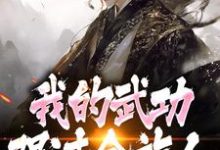 (全文)完了！我的武功强过全族人林枫苏清雪全本免费在线阅读-黄桃文学