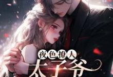 夜色撩人,太子爷为她乱了心楚璃徐砚周试读更新章节夜色撩人,太子爷为她乱了心楚璃徐砚周免费小说-黄桃文学