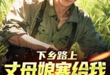 下乡路上，丈母娘塞给我一车嫁妆林辰宋雨试读更新章节下乡路上，丈母娘塞给我一车嫁妆林辰宋雨免费小说-黄桃文学