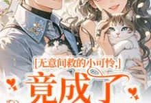 无意间救的小可怜，竟成了京都大佬晏离权时泽试读更新章节无意间救的小可怜，竟成了京都大佬晏离权时泽免费小说-黄桃文学