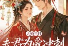 大婚当日，夫君为爱冲刺救白月光（林菀堂萧睿川）全章小说阅读-黄桃文学