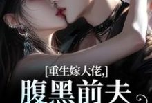 重生嫁大佬,腹黑前夫追妻火葬场林疏桐贺霆屿热门小说排行榜重生嫁大佬,腹黑前夫追妻火葬场免费小说-黄桃文学
