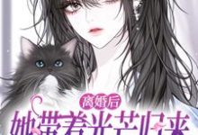 (全文)离婚后她带着光芒归来，总裁悔断肠（江念慕南辞）全本书籍阅读离婚后她带着光芒归来，总裁悔断肠免费小说全本-黄桃文学