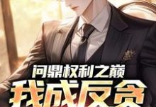 问鼎权利之巅,我成反贪第一人林东凡沈君兰完结小说推荐,问鼎权利之巅,我成反贪第一人全章小说阅读-黄桃文学