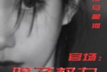 官场：除了权力还有啥热门小说排行榜官场：除了权力还有啥丁俊丰贺征免费小说全本-黄桃文学