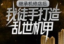 (全文)继承机修店后，我徒手打造乱世机甲完结小说推荐苏白苏南天全本书籍阅读-黄桃文学