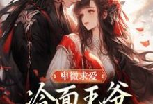 (全文)卑微求爱:冷面王爷只为她轻哄热门小说排行榜,卑微求爱:冷面王爷只为她轻哄苏如卿赫连渊全章小说阅读-黄桃文学