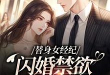 (全文)替身女经纪，闪婚禁欲大佬虐渣男黎湘霍斯然最新完结小说替身女经纪，闪婚禁欲大佬虐渣男免费阅读-黄桃文学