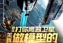 (全文)老头打你鹰酱卫星，关我做模型的什么事（秦阳）全本书籍阅读老头打你鹰酱卫星，关我做模型的什么事免费小说全本-黄桃文学