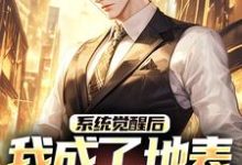 江南系统觉醒后，我成了地表最强龙傲天全本免费在线阅读-黄桃文学