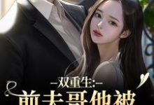 双重生：前夫哥他被我现任碾压了热门小说排行榜双重生：前夫哥他被我现任碾压了苏琉璃宋凌渊免费小说全本-黄桃文学
