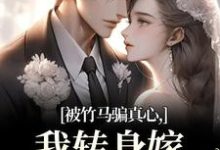 沈念希傅斯礼被竹马骗真心,我转身嫁豪门继承人全本免费在线阅读-黄桃文学