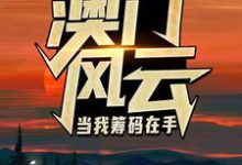 澳门风云：当我筹码在手王东曼丽热门小说排行榜澳门风云：当我筹码在手免费小说-黄桃文学