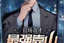 官场：被贬后，我强大身世曝光（李霖）全章小说阅读-黄桃文学