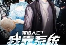 (全文)家破人亡?我靠系统儿孙满堂柳若澜许良最新完结小说家破人亡?我靠系统儿孙满堂免费阅读-黄桃文学