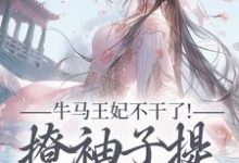 牛马王妃不干了！撩袖子提和离独美完整版小说牛马王妃不干了！撩袖子提和离独美(萧北策云初七)全章小说阅读-黄桃文学