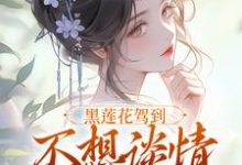 黑莲花驾到宁司寒林妩免费小说黑莲花驾到推荐完结小说-黄桃文学