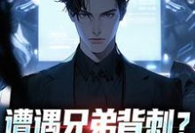 (全文)遭遇兄弟背刺?我直接去偷家(秦东骆小蝶)全本书籍阅读遭遇兄弟背刺?我直接去偷家免费小说全本-黄桃文学