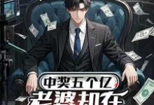 (全文)中奖五个亿，老婆却在领奖前提离婚完结小说推荐陈志全本书籍阅读-黄桃文学
