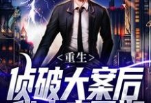 重生：侦破大案后，我未来可期热门小说排行榜重生：侦破大案后，我未来可期江风刘雨桐免费小说全本-黄桃文学