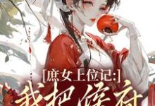 (全文)庶女上位记：我把侯府拿捏了免费小说全本，七娘萧战试读更新章节-黄桃文学