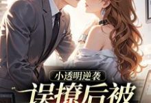 小透明逆袭：误撩后被大佬宠上天（许惟昭方肃礼）小说推荐小透明逆袭：误撩后被大佬宠上天全章小说阅读-黄桃文学