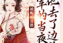 (全文)被赐婚常胜将军的当夜，他去了边关完结小说推荐青妩燕昭全本书籍阅读-黄桃文学