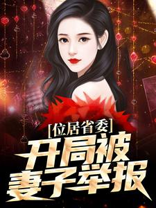 位居省委，开局被妻子举报推荐完结小说位居省委，开局被妻子举报(苏玉黎锦)免费小说全本