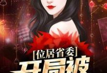 位居省委，开局被妻子举报热门小说排行榜位居省委，开局被妻子举报苏玉黎锦免费小说全本-黄桃文学