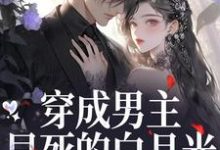 (全文)穿成男主早死的白月光？我不干了完结小说推荐谢观砚林茉全本书籍阅读-黄桃文学