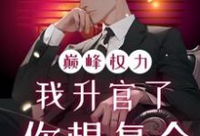 (全文)巅峰权力：我升官了你想复合林磊全本免费在线阅读-黄桃文学