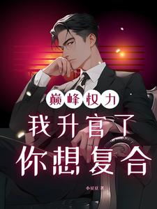 (全文)巅峰权力：我升官了你想复合（林磊）全本书籍阅读巅峰权力：我升官了你想复合免费小说全本