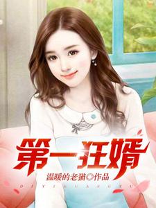 第一狂婿（林枫）全本书籍阅读第一狂婿完整版小说