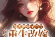 (全文)前夫把嫂子当宝,重生改嫁不原谅夏晚晴全本免费在线阅读-黄桃文学
