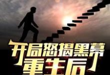 (全文)开局怒揭黑幕，重生后整顿官场陈知行小说推荐，开局怒揭黑幕，重生后整顿官场全章小说阅读-黄桃文学