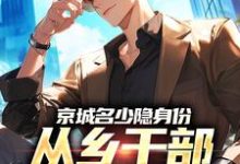 (全文)京城名少隐身份，从乡干部开始逆袭免费小说全本，谢斌裴靖泽试读更新章节-黄桃文学
