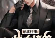 东北往事:一代大佬的成功之路王晨马三完结小说推荐东北往事:一代大佬的成功之路全本书籍阅读-黄桃文学